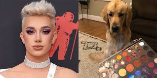 Woman Says Her Dog Ate Her Eye-Shadow Palette, Photos