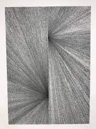 Browse and enjoy our huge collection of optical illusions and. Alexander Roozen Fibonaccisusan