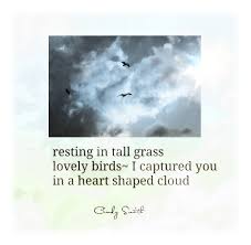 Haiku A Heart Shaped Cloud Cindy Smith Haiku Poems Japanese Haiku