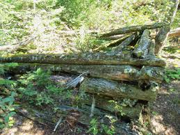 Why rent a room when you can have the whole house. Bwca Old Trapper S Cabin On Crooked Lake Boundary Waters Group Forum Cool Spots In Canoe Country