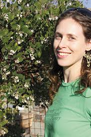 Plight of the Humble Bee