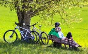 Wissenswertes Der Bodensee Radweg
