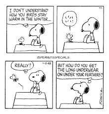Black Cartoon Bird With Spiky Hair Pin By Philip Emile On Snoopy And Woodstock Snoopy Pictures Snoopy Comics Snoopy And Woodstock