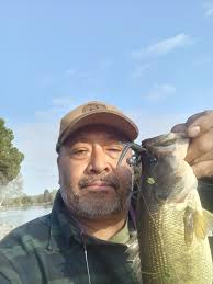 STOCKING NEW Wild Aquarium Fish in my BACKYARD POND!