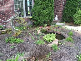 Check spelling or type a new query. Which Lawn Care Issues Can Result In Foundation Damage