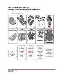 Maybe you would like to learn more about one of these? Latihan 2 6 Organisasi Sel Dalam Organisma Multisel