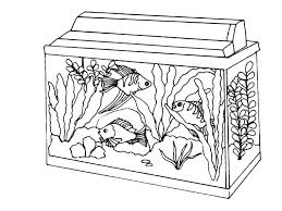 Or else, do online coloring directly from your tab, ipad or on our web feature for this long tailed fish in fish bowl coloring page. Aquarium Coloring Pages Best Coloring Pages For Kids