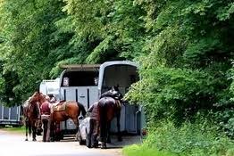 This damage may be due to a traffic collision, fire, theft, vandalism or acts of god, which. Horse Trailer Insurance Compare Multiple Trailer Quotes
