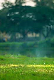 See more ideas about blur photo background, photo background images, dslr background images. Pin On Sahil