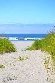 At The Beach Wandering Through The Sand Dunes Coastal Blog Beautiful Beaches Beach Beach Pictures