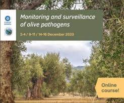Monitoring And Surveillance Of Olive Pathogens International Olive Council