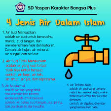 Berapa hewan perairan tersebut kemudian dibagi lagi menjadi beberapa kelompok, berdasarkan jenis airnya yang antara lain adalah Gambar Gambar Edukasi Sd Karakter Bangsa Plus