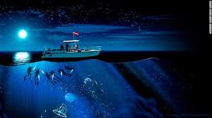 Menjadikan laut ini juga disebut denagn laut tanah turun. Binatang Laut Alien Dari Laut Dalam Hawai Global Liputan6 Com