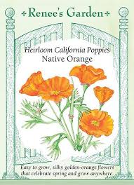 We did not find results for: Native Orange California Poppies Renee S Garden Seeds
