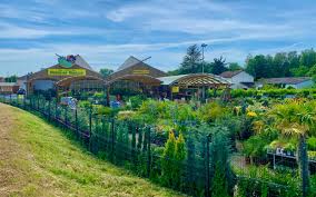 Onlyfans giulia rosa 950K Followers, 771 Following, 232