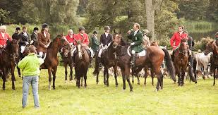 Judith rakers in der nebenrolle als geisel war das geld wert. Rugen Cross Country Rugen Sattelt Die Pferde