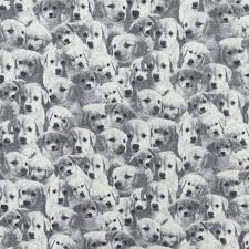Auf dieser seite sind die besten hundebilder und süße hundefotos von pexels gesammelt. Dekostoff Canvas Susse Hunde Schwarz Weiss Stoffe Hemmers