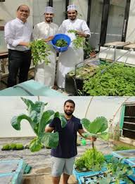 Balik Scientist Promotes Sustainable Fishery Through Aquaponics