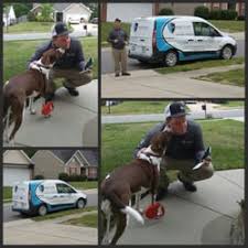 The american tobacco campus is a 5 minutes' drive from the. Cleardefense Pest Control 19 Photos 31 Reviews Pest Control 2717 Western Bypass Durham Nc Phone Number