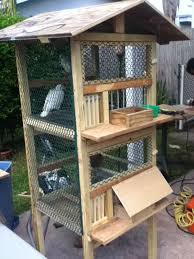 Second Hand Bird Cages For Sale Near Me Racing Pigeon Cage Greendoeseverything Pigeon Loft Pigeon Cage Racing Pigeons