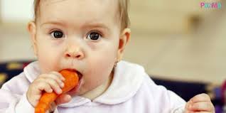 Makanan ini juga terdapat di kantin sekolah rendah pulau rintis. Kalau Nak Gigi Anak Cantik Hidangkan Lobak Merah Lobak Merah Boleh Cegah Kerosakan Gigi Pa Ma