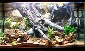 Heres The Best Looking 3d Aquarium Background Amazon Aquarium Backgrounds Aquarium Fish Tank