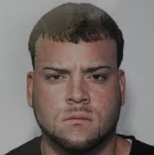 Nineteen people busted in car theft ring