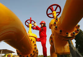 Qatargas JBOG Project celebrates 'Safety Day'