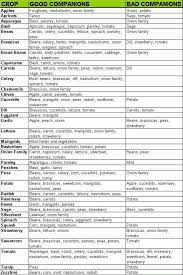 11 best of herb companion planting chart pics percorsi