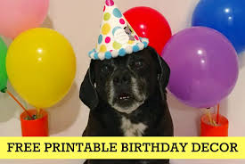 See more ideas about happy birthday, happy birthday images, happy birthday wishes. How To Celebrate A Dog Birthday Party Free Printable Party Kit Kol S Notes