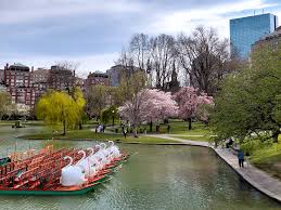 Joko tunnet Bostonin? 10 syytä suunnata sinne kaupunkilomalle - Iira  Explores matkablogi