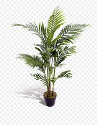 Check spelling or type a new query. Indoor Artificial Palm Trees Hd Png Download Vhv