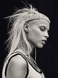 Pin By Kim Van Eijnatten On Lucy Fashion Police Rock Hairstyles Yolandi Visser Punk Rock Hair