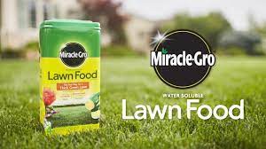 How do you use miracle gro lawn feeder? Miracle Gro Water Soluble Lawn Food Plant Food Miracle Gro