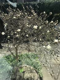 Image result for site:byggahus.se Väst