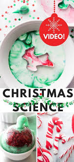Christmas cookie christmas cookie dessert. Christmas Science Experiments For Kids Little Bins For Little Hands