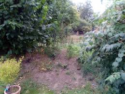 Wie ihr am besten mit dem igel im garten umgeht außerdem müsst ihr den igel im garten vor einigen gefahren schützen. Unschonen Hugel Schonen Gartenplanung Gartengestaltung Green24 Pflanzen Garten Forum