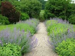 Gravier Et Deco Pour Allee De Jardin Avec Plantes Faible Hauteur Modern Tuinontwerp Tuinontwerp Natuurlijk Landschap