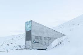 Those of us who're willing to collect and store seeds year after year have a slight advantage. Doomsday Seed Vault Meant To Survive Global Disasters Breached By Climate Change The Verge