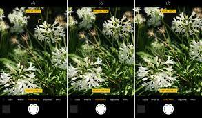Get an iphone camera lens; How To Make The Most Of Portrait Mode On Iphone 7 Plus