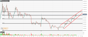 What kinds of accounts can i trade on webull? Bitcoin Ethereum Litecoin American Wrap 2 12 2020