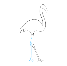 Sketch a large oval at the base of the neck. How To Draw A Flamingo Really Easy Drawing Tutorial