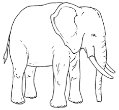 Dibujos Para Imprimir Y Colorear Elefante Para Colorear Elefantes Para Colorear Dibujos De Animales Elefantes Pintados