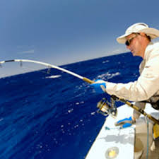 We did not find results for: Fishing Fishing Gear Equipment Accessories Online West Marine