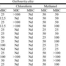 Image result for Syzygium rowlandii