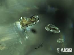 نتیجه جستجوی لغت [inclusions] در گوگل