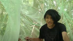 Malaysia is a country in south east asia known for its stunning natural beauty and diverse population. University Student Unions Groups Back Veveonah Urge Govt To Stop Bullying Malaysia Malay Mail