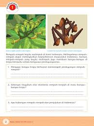 Kunci Jawaban Kelas 5 Tema 7 Hal 2 16