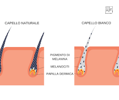 Colorazioni troppo frequenti, raggi uv, lavaggi ripetuti tendono a seccare sempre di più i capelli, che diventano non solo secchi ma anche più fragili. I Capelli Ed Il Colore Gandola Studio