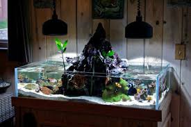 Discover the best fish tank for your own home aquarium. Pin By Dominic Jones On Aquariums Cool Fish Tanks Aquascape Aquarium Aquarium